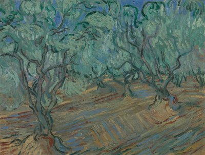 Olive Grove by Vincent van Gogh